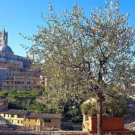 Residenza D'epoca Campo Regio Relais